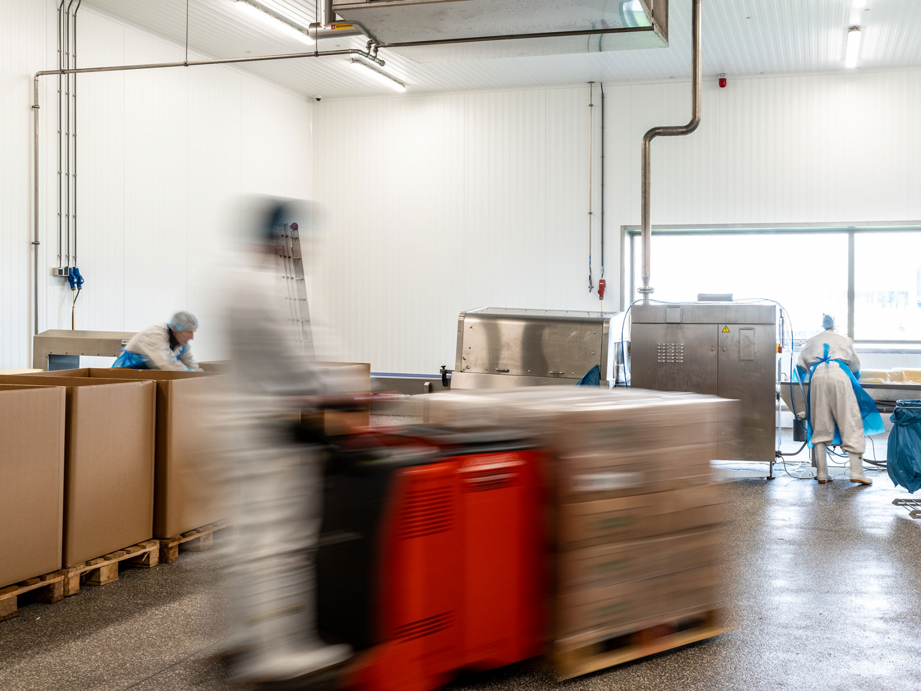 mozzarella leverancier