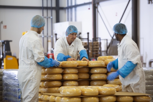 Production Employee | Day Shift